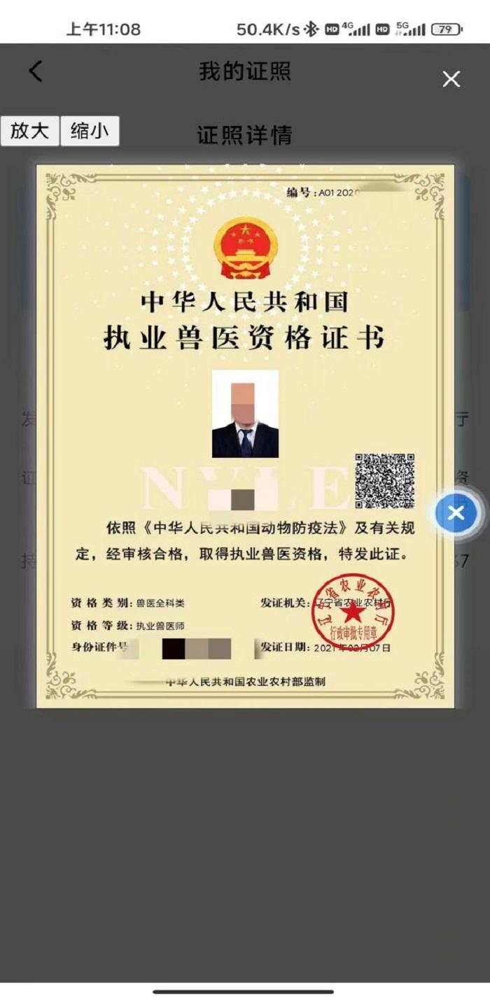 成人网站