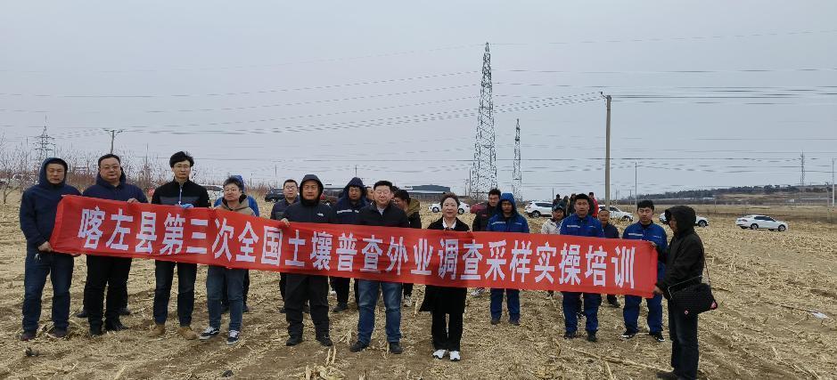 成人网站