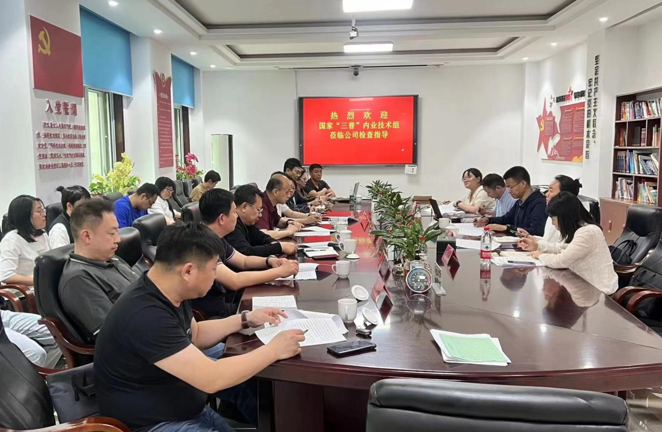 成人网站