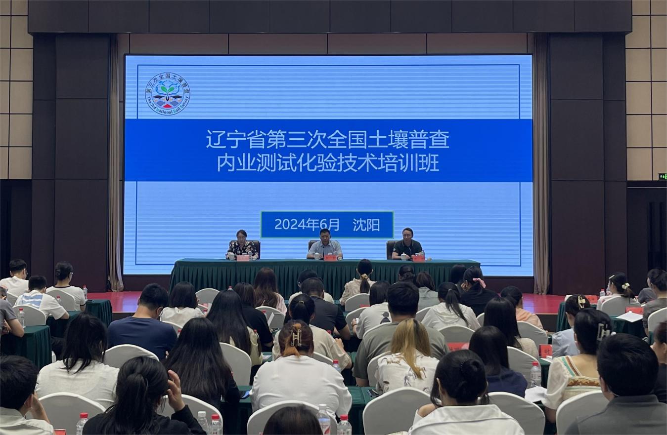 成人网站