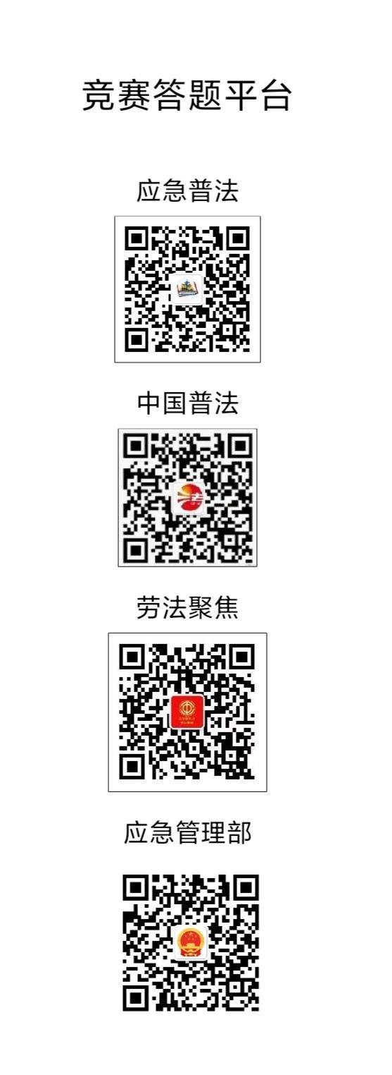 成人网站