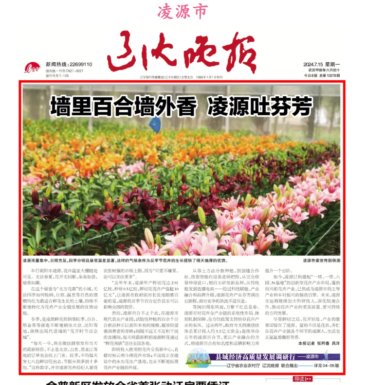 成人网站