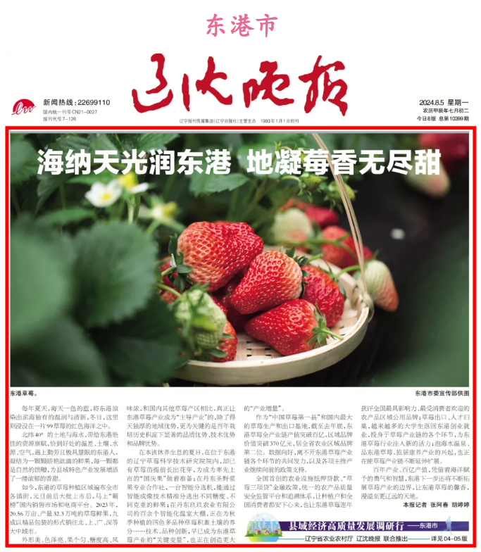 成人网站