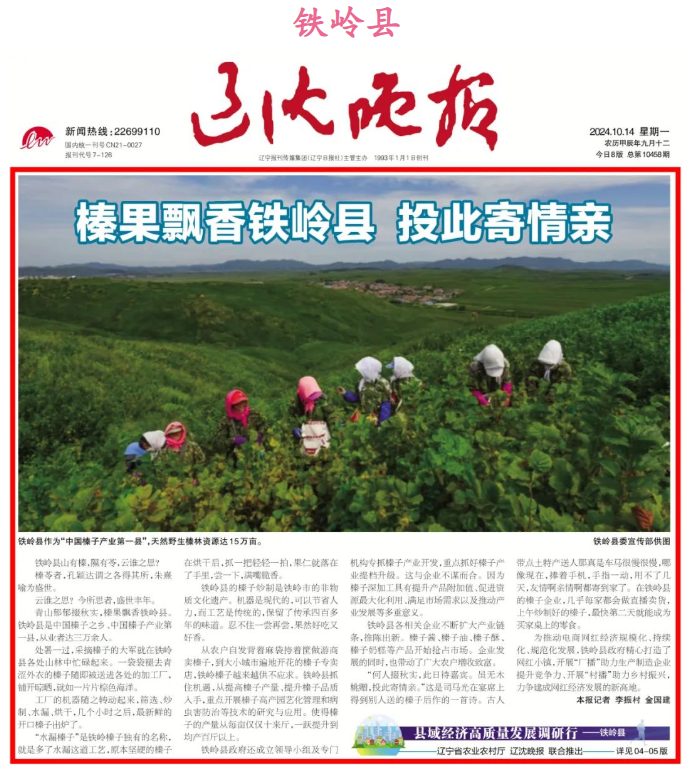 成人网站