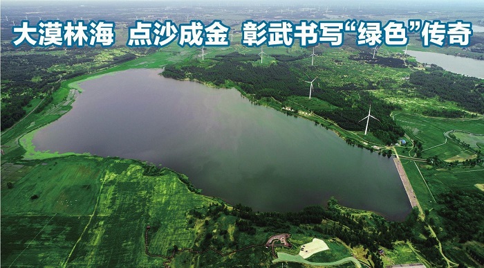 成人网站