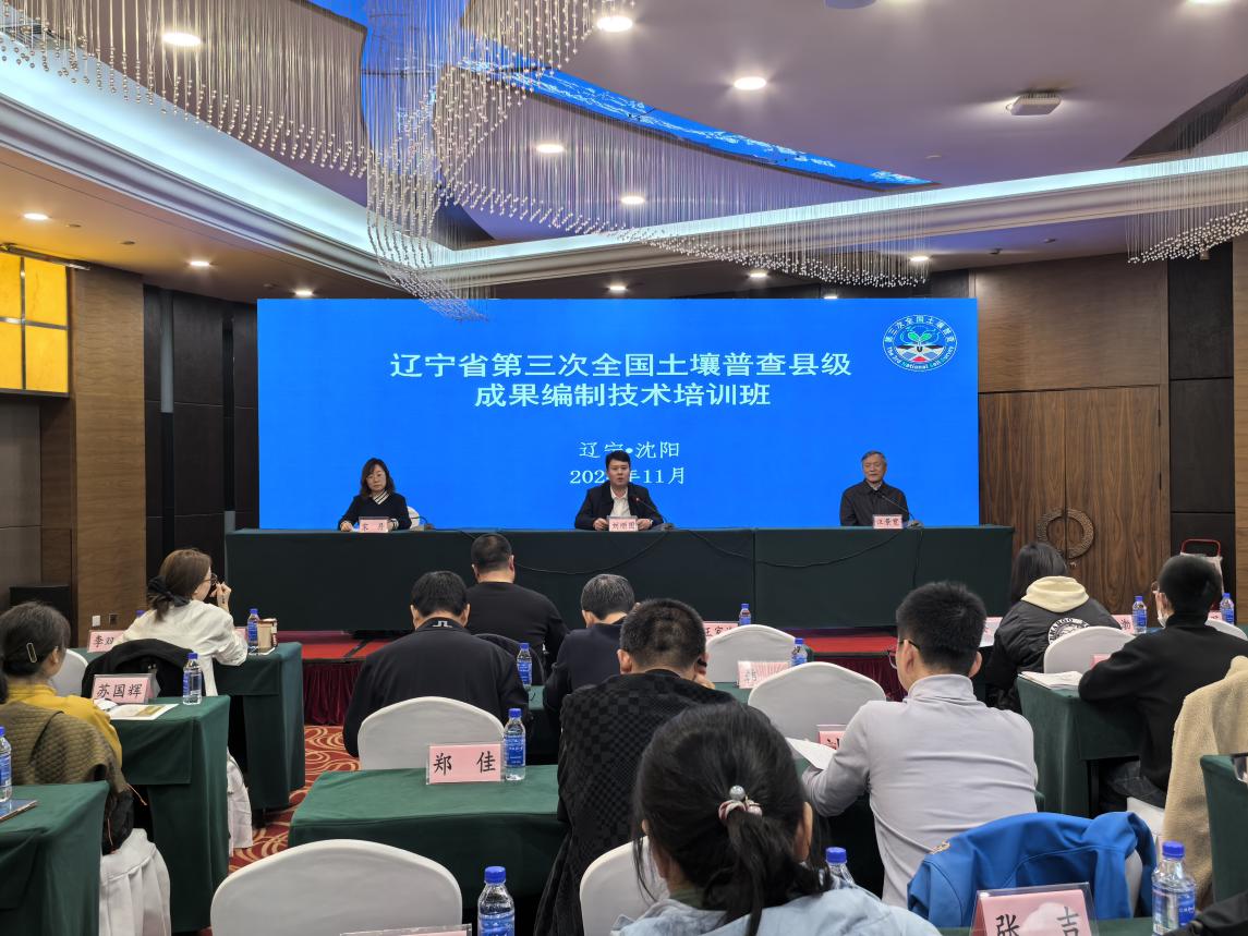 成人网站