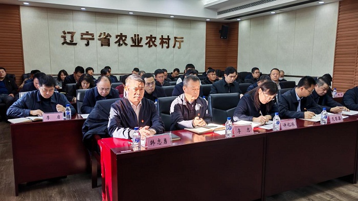 成人网站