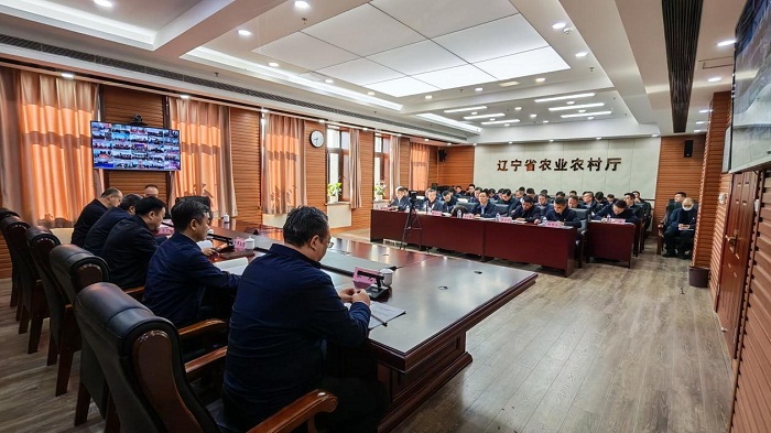 成人网站