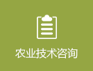 成人网站