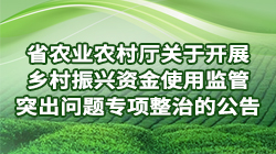 成人网站