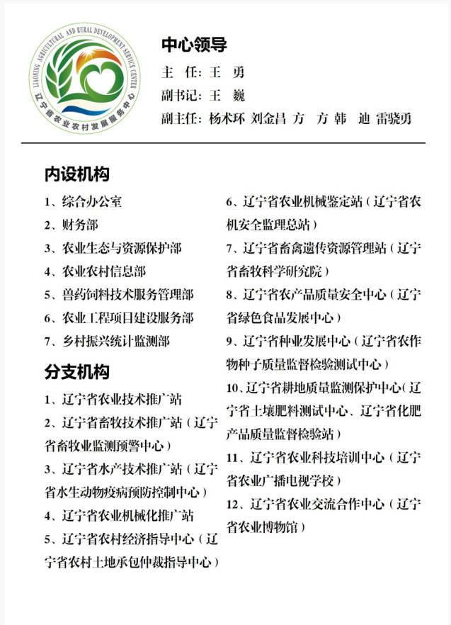 成人网站