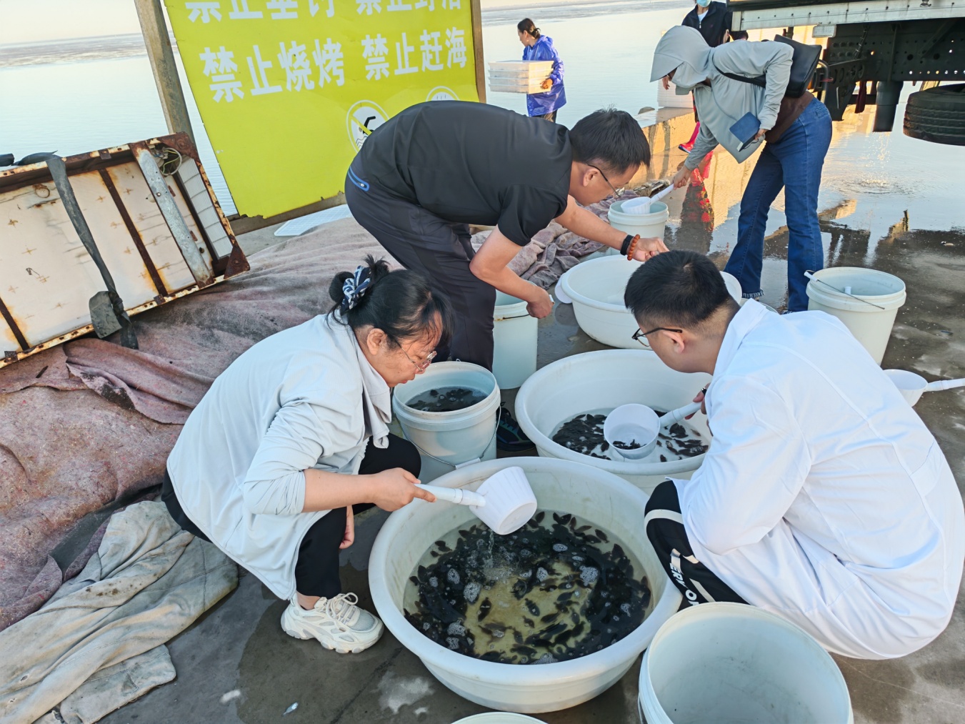 成人网站