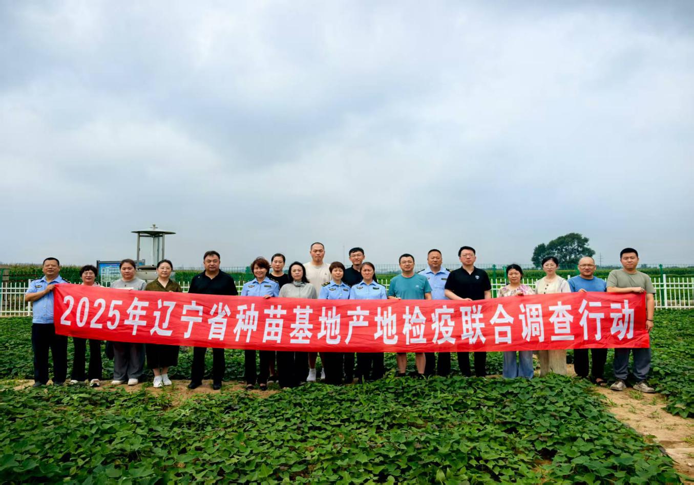 成人网站