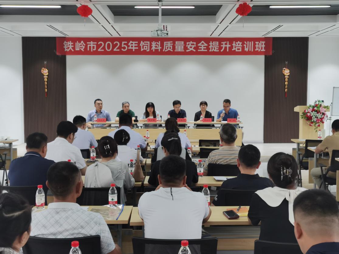 成人网站