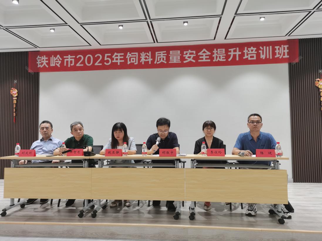 成人网站