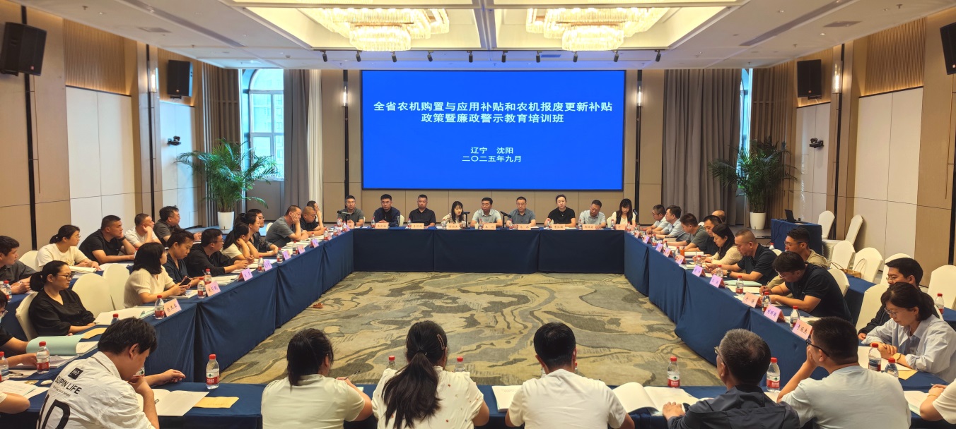 成人网站
